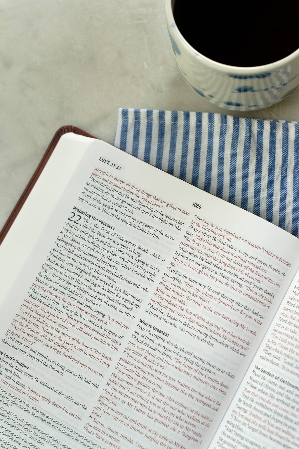 Light for Life NASB Study Bible (Mahogany Lighthouse)