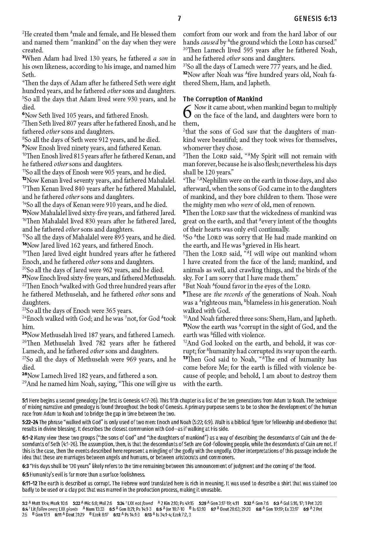 Light for Life NASB Study Bible (Mahogany Lighthouse)