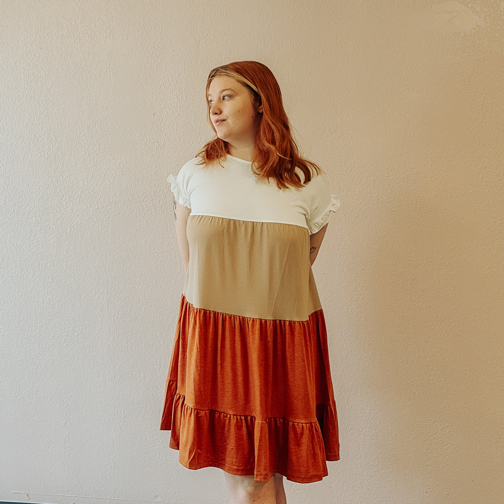 Colorblock Kane Swing Dress