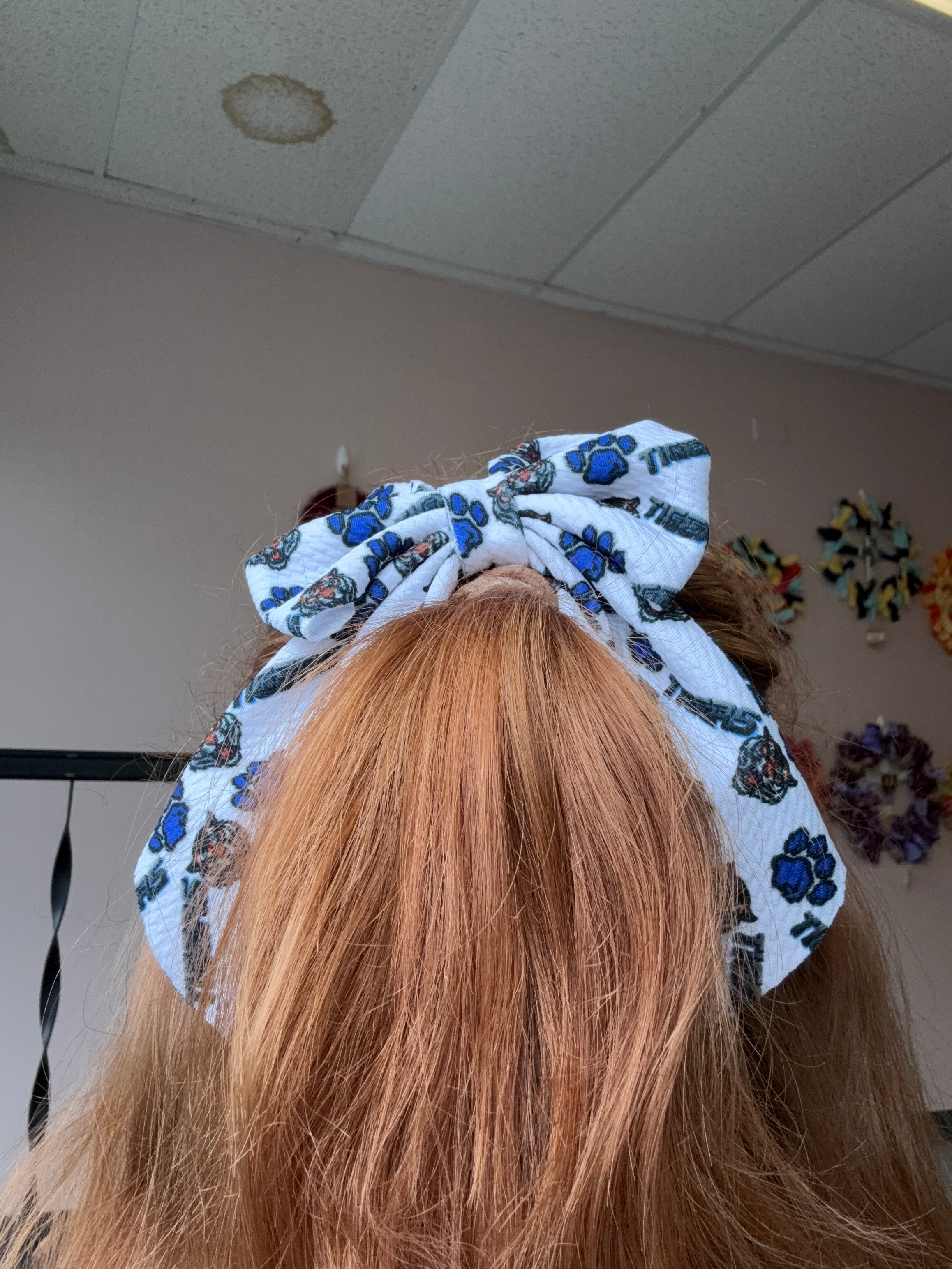 Tiger Pride Bows